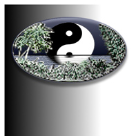 T'ai Chi Recommended Readings