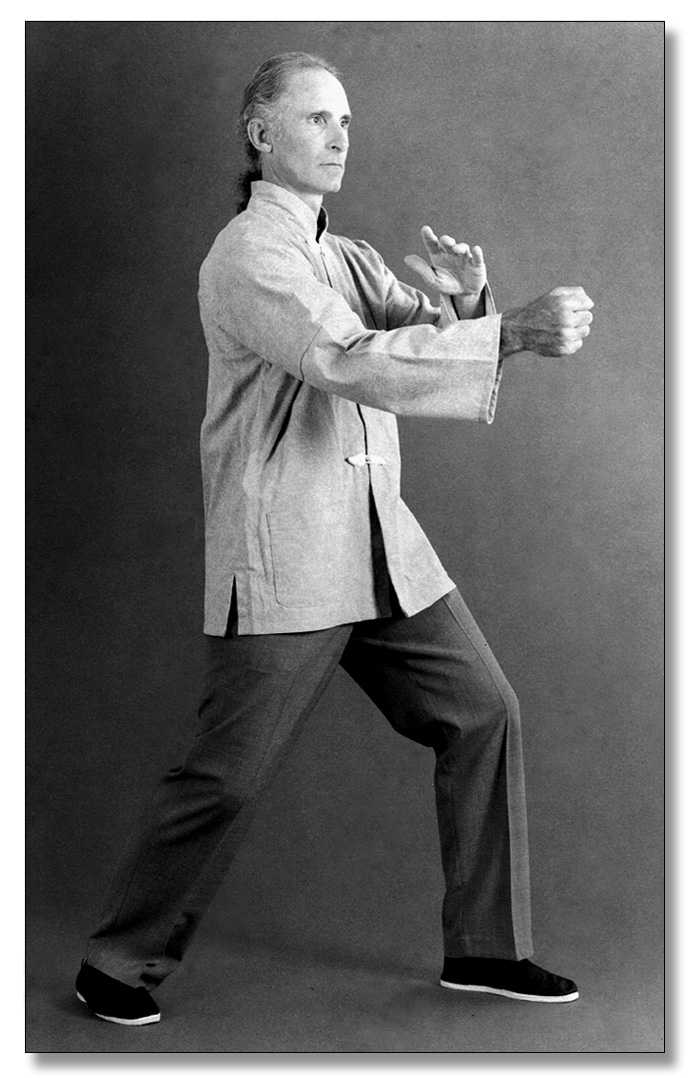 Ron Perfetti: Punch Under Palm